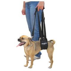 GingerLead dog sling front view for upright lifting support.
