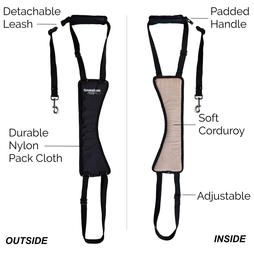 GingerLead cutout design for male dogs enables easy lifting.