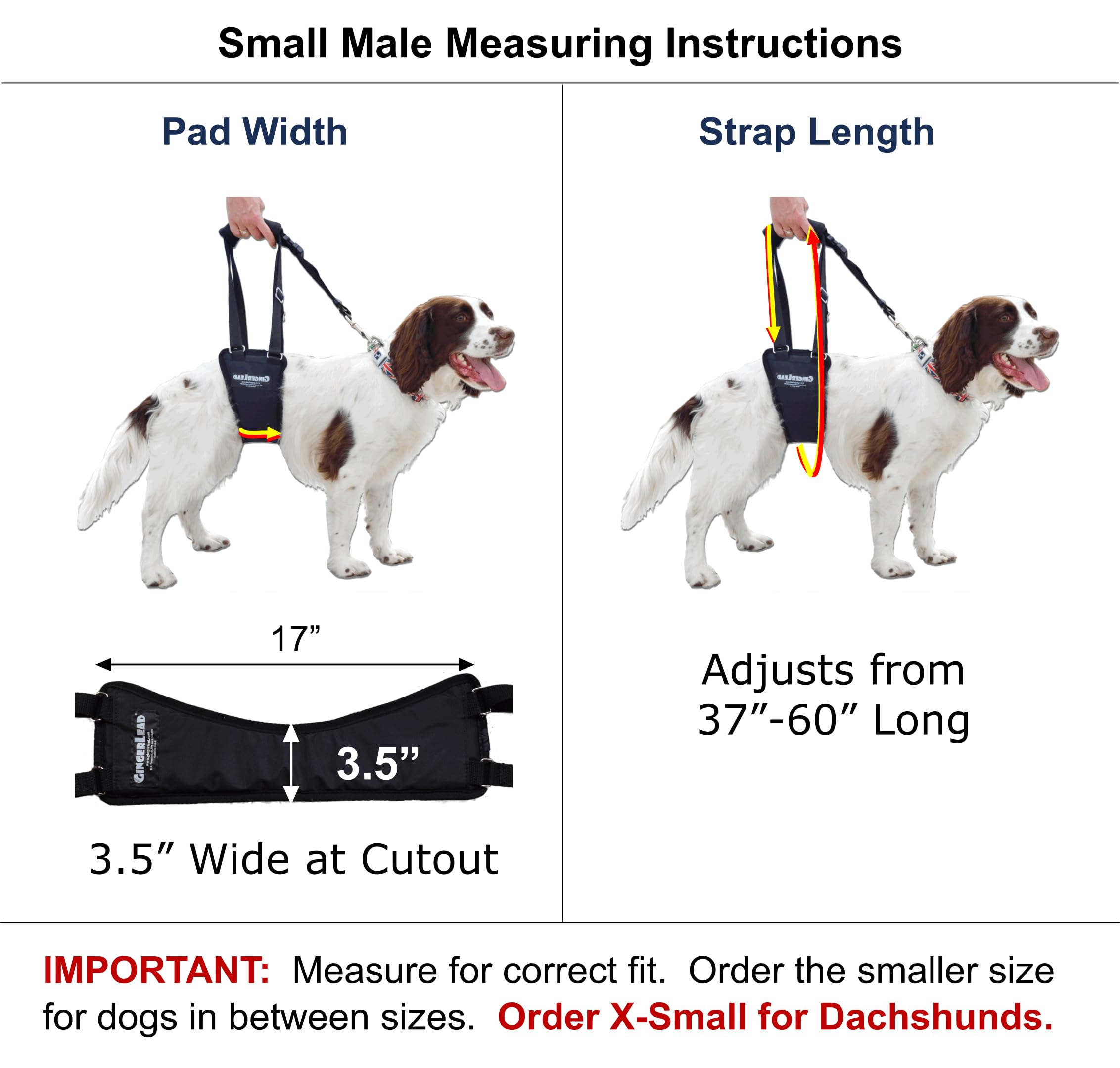 GingerLead sling harness side view shows adjustable length for different heights.