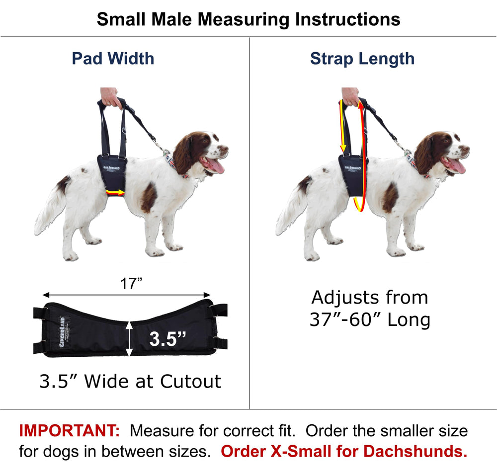 GingerLead sling harness side view shows adjustable length for different heights.