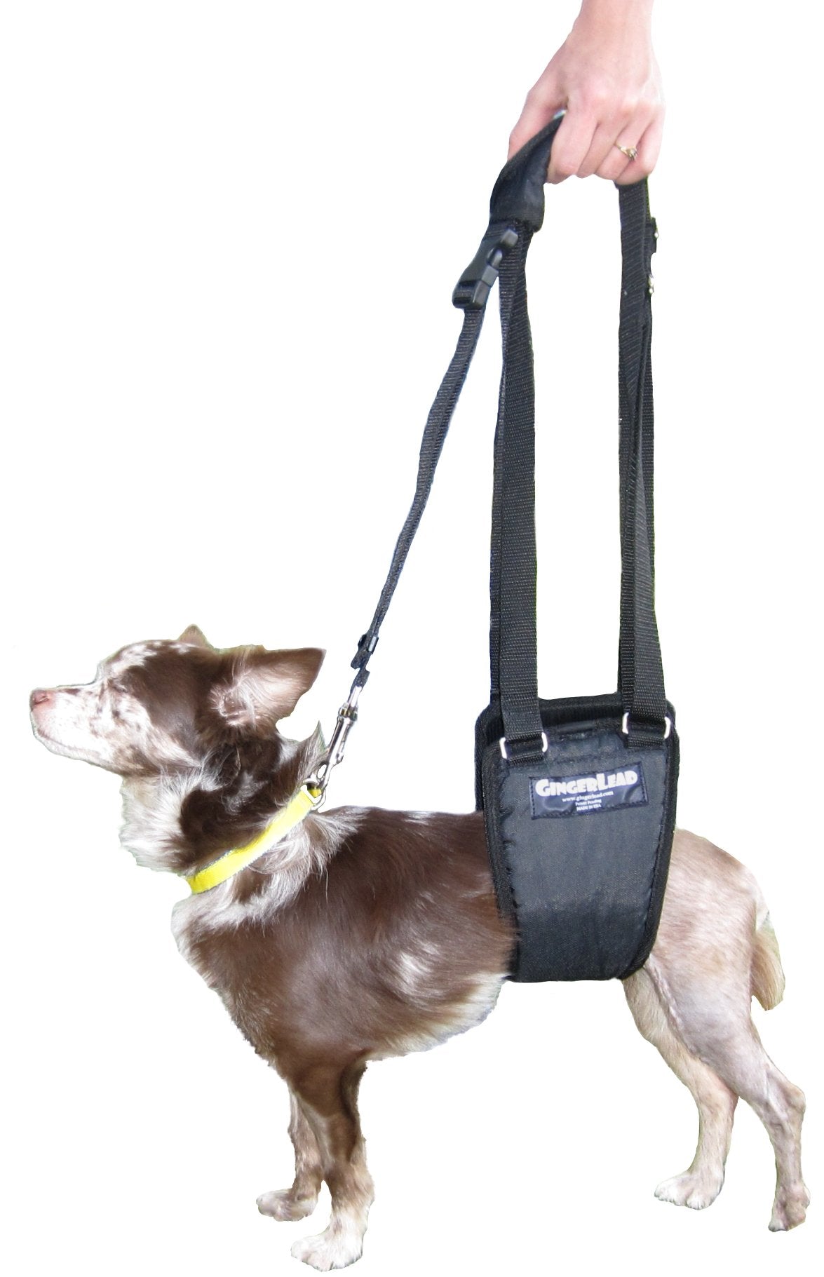 GingerLead machine washable harness ready for quick cleaning after outdoor use.