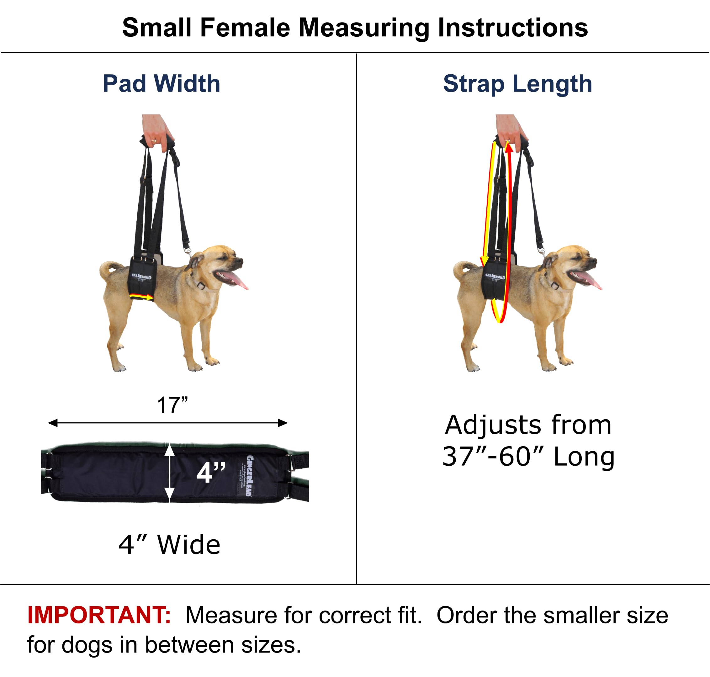 GingerLead dog sling side view shows easy transfer assistance.