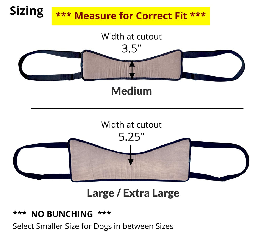GingerLead Easy Lift sling side/back view highlighting adjustable straps for a customized fit