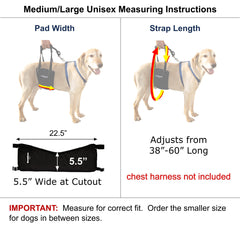 GingerLead integrated-leash design keeps hands free for control.