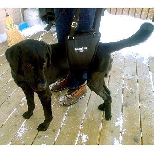 GingerLead-large-dog-size-guide helps choose the right fit.