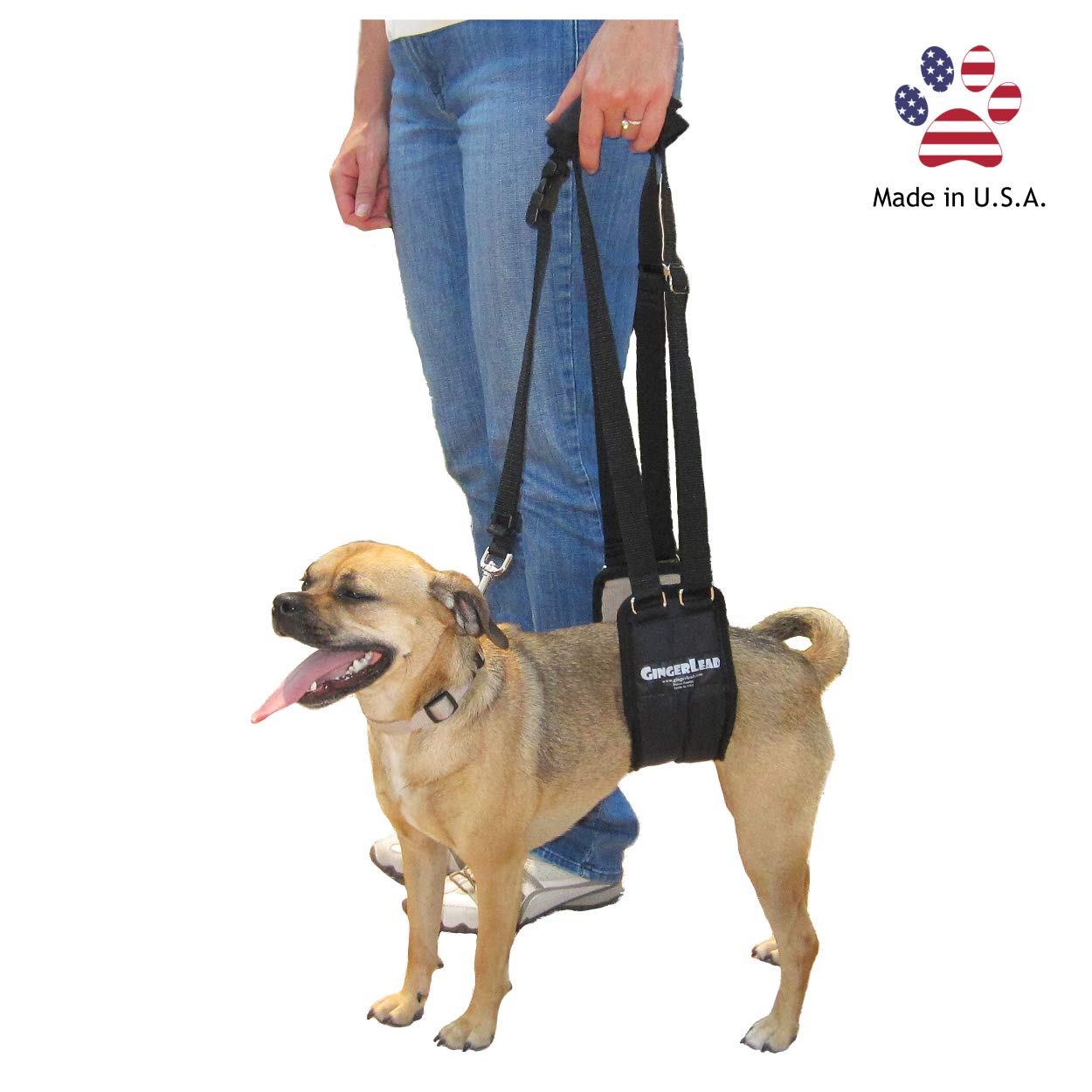 GingerLead made in USA tag shown on durable harness.