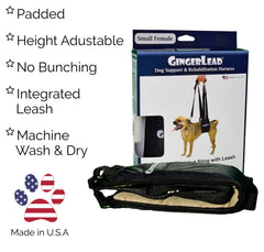 GingerLead pad and sling attachment detail with padded comfort.