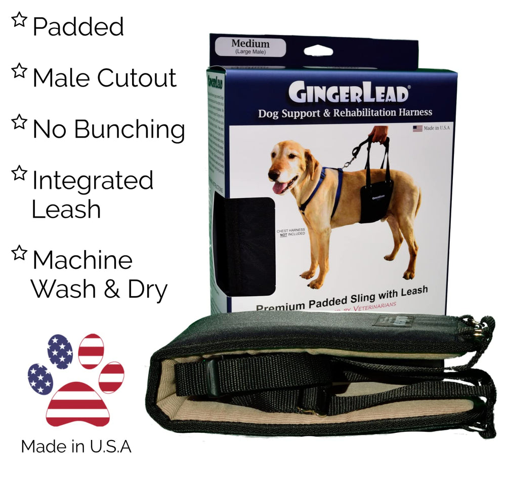 GingerLead padded-hip-support offers comfortable lifting for dogs.