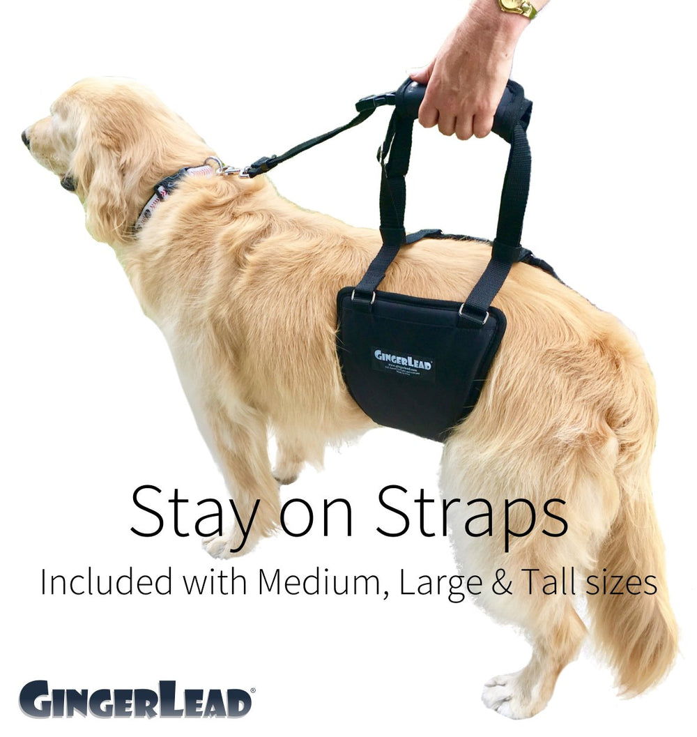 GingerLead soft-corduroy-lining adds gentle touch against fur.