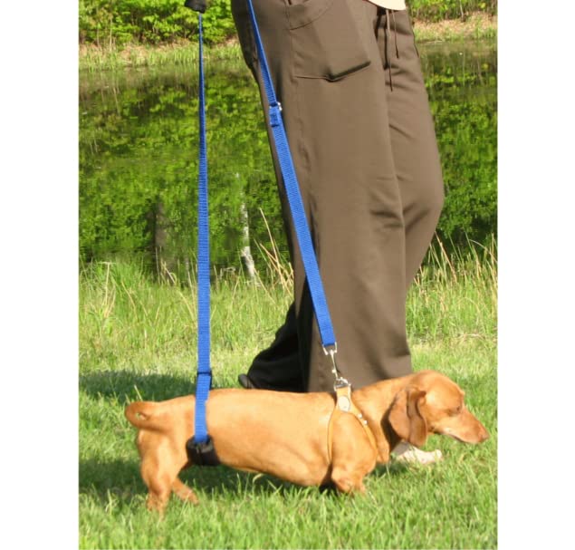 GingerLead soft neoprene pad reduces friction for sensitive skin.