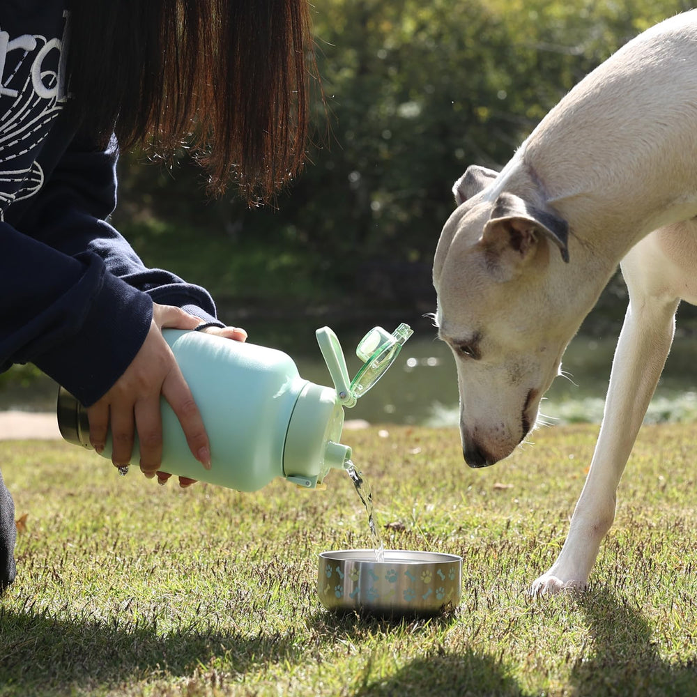GiNT all-season outdoor use supports outdoor adventures with pets