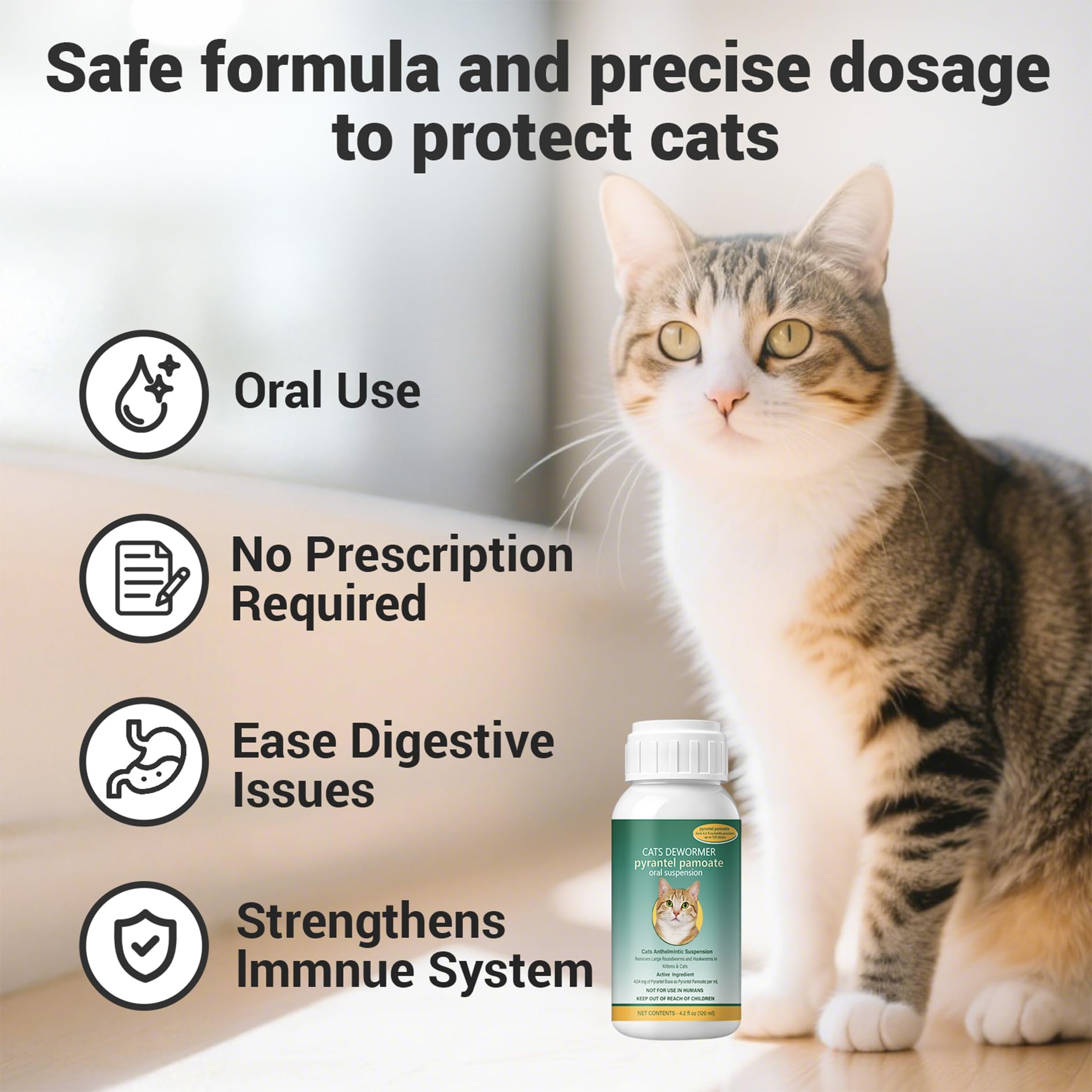 Ginzeca Cat Dewormer Liquid being licked from a bowl, palatable.
