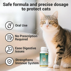 Ginzeca Cat Dewormer Liquid being licked from a bowl, palatable.