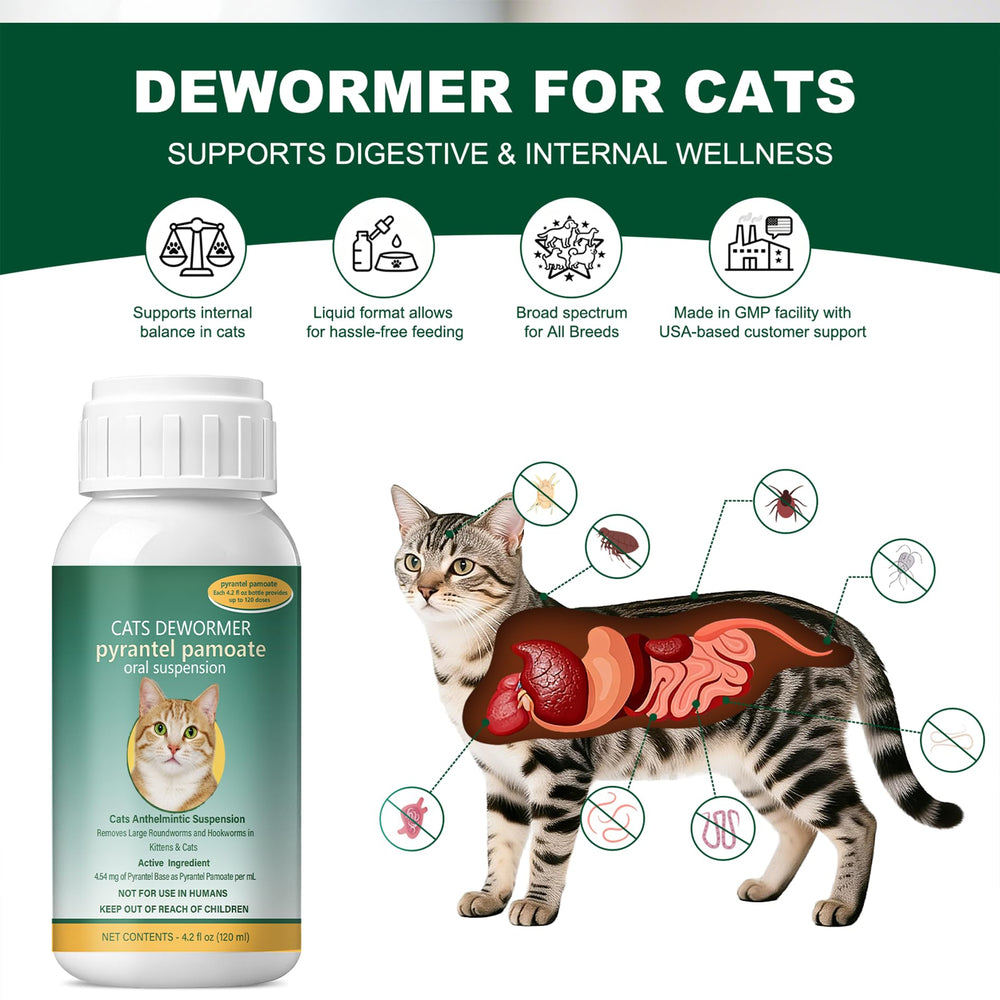 Ginzeca Cat Dewormer Liquid dosing; precise measure for small cats.
