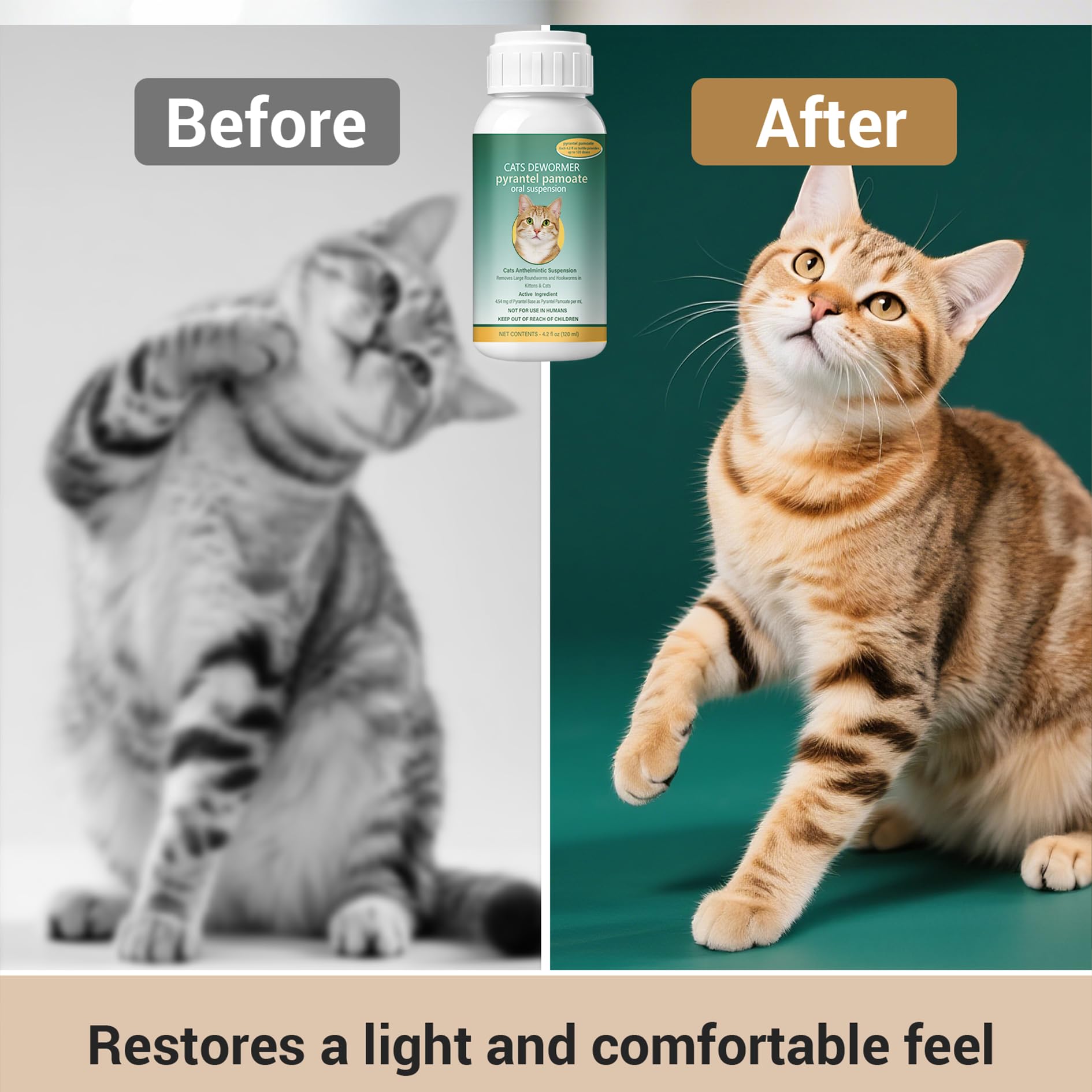Ginzeca Cat Dewormer Liquid measuring spoon demonstrates simple dosing.