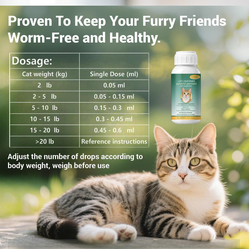 Ginzeca Cat Dewormer Liquid storage bottle kept at room temperature.