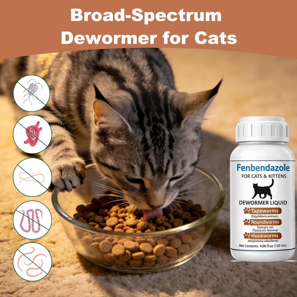 Ginzeca cat dosing scene highlights easy at-home administration.