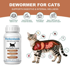 Ginzeca liquid dosing syringe demonstrates precise administration for cats.