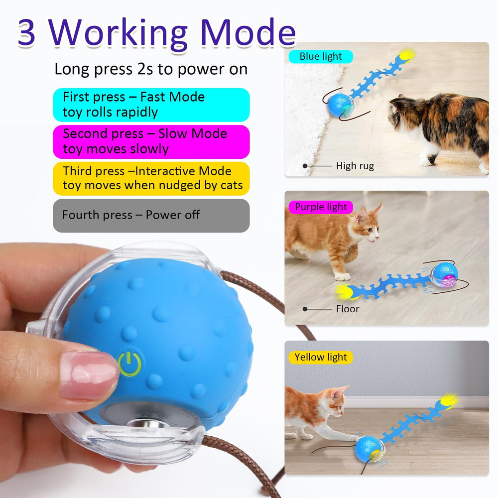 Giociv motion-activated toy responds to paw taps.