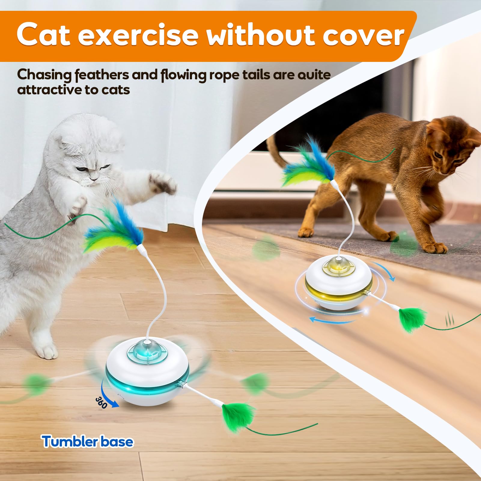 Giociv multi-cat friendly design supports cooperative play.