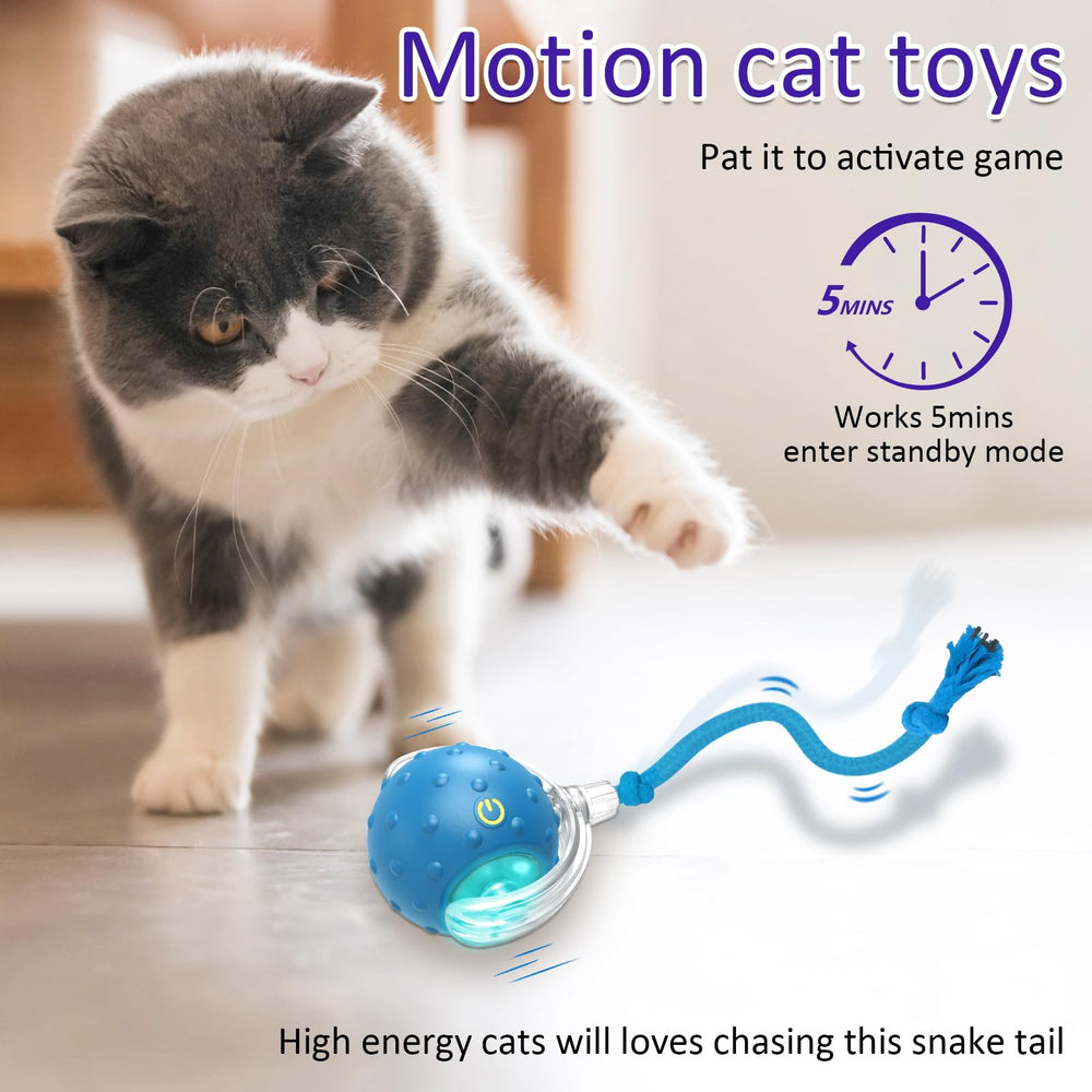 Giociv paw activation motion sensor powers the ball for play.