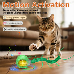 Giociv three-play-modes for matching your cat energy level