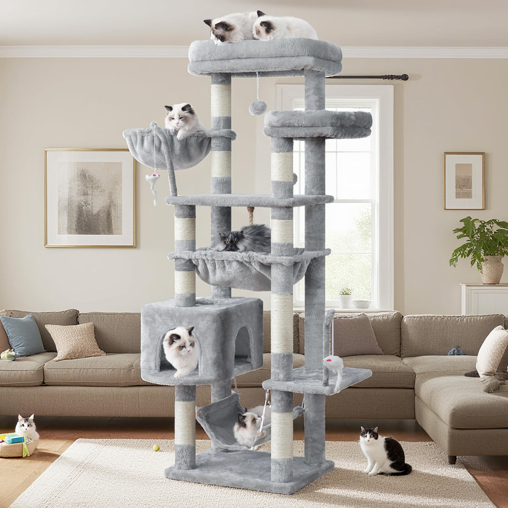 Gitelsnour cat tree for indoor cats provides safe enrichment
