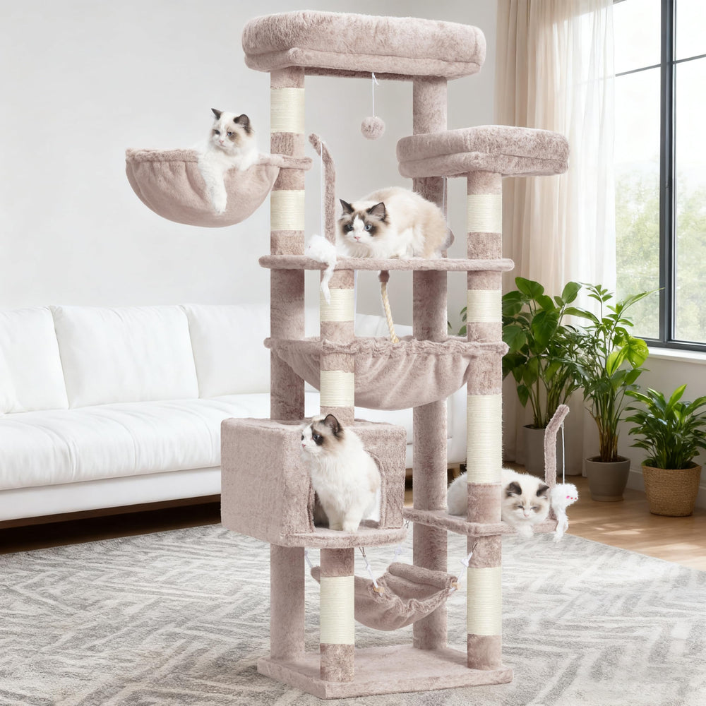 Gitelsnour cat tree room setup showing it fits living spaces