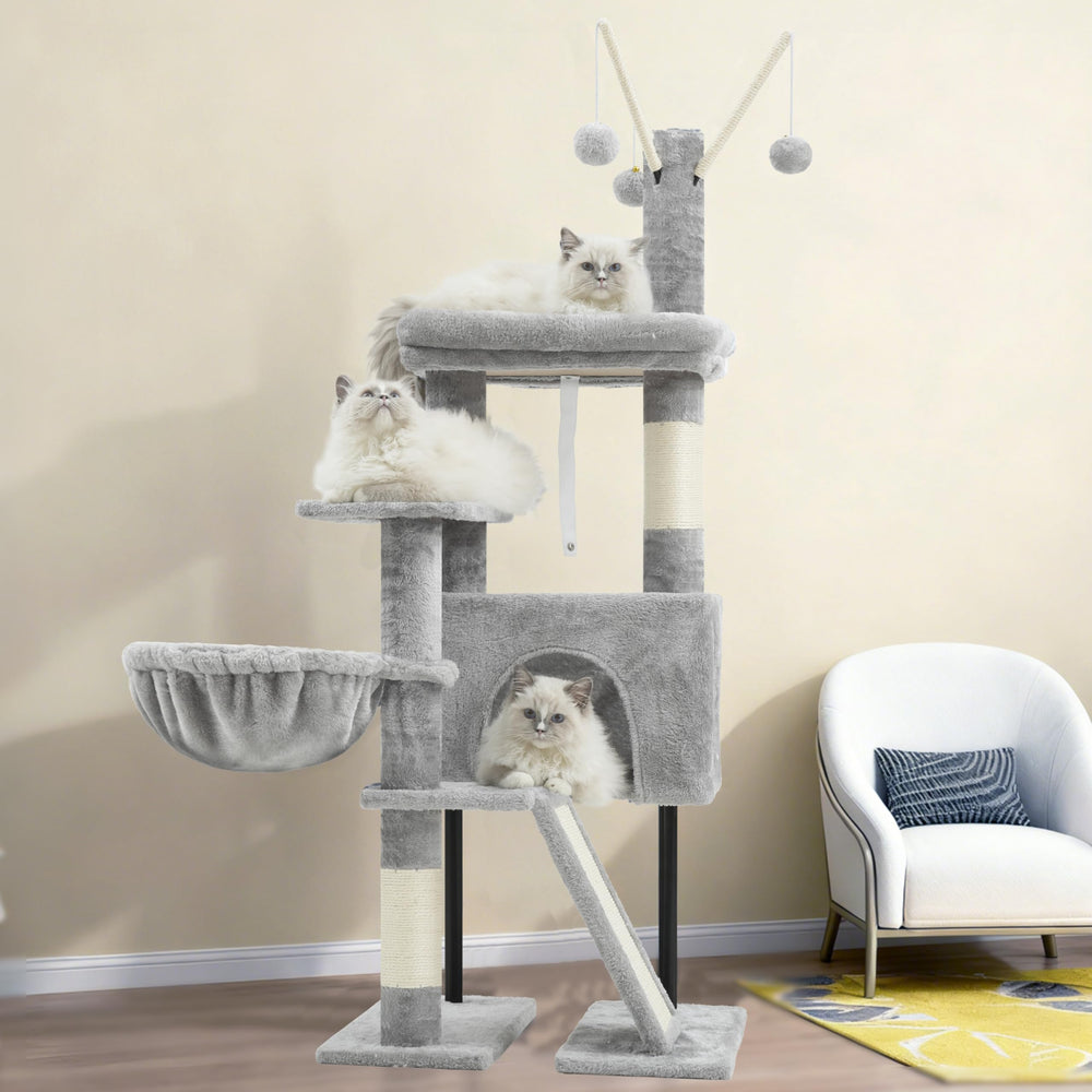 Gitelsnour small cat design suits kittens and compact spaces.
