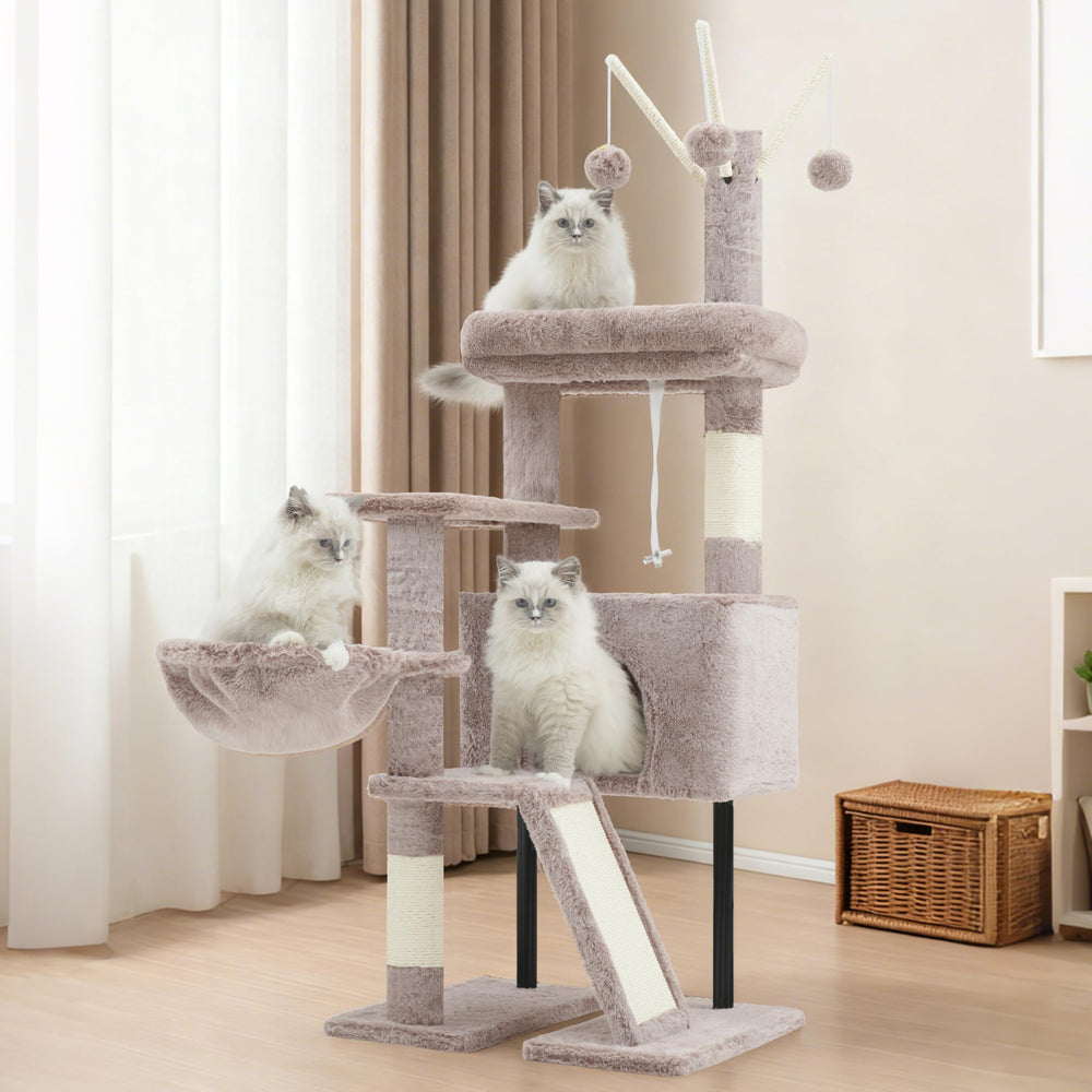 Gitelsnour small cats design suits kittens and petite felines