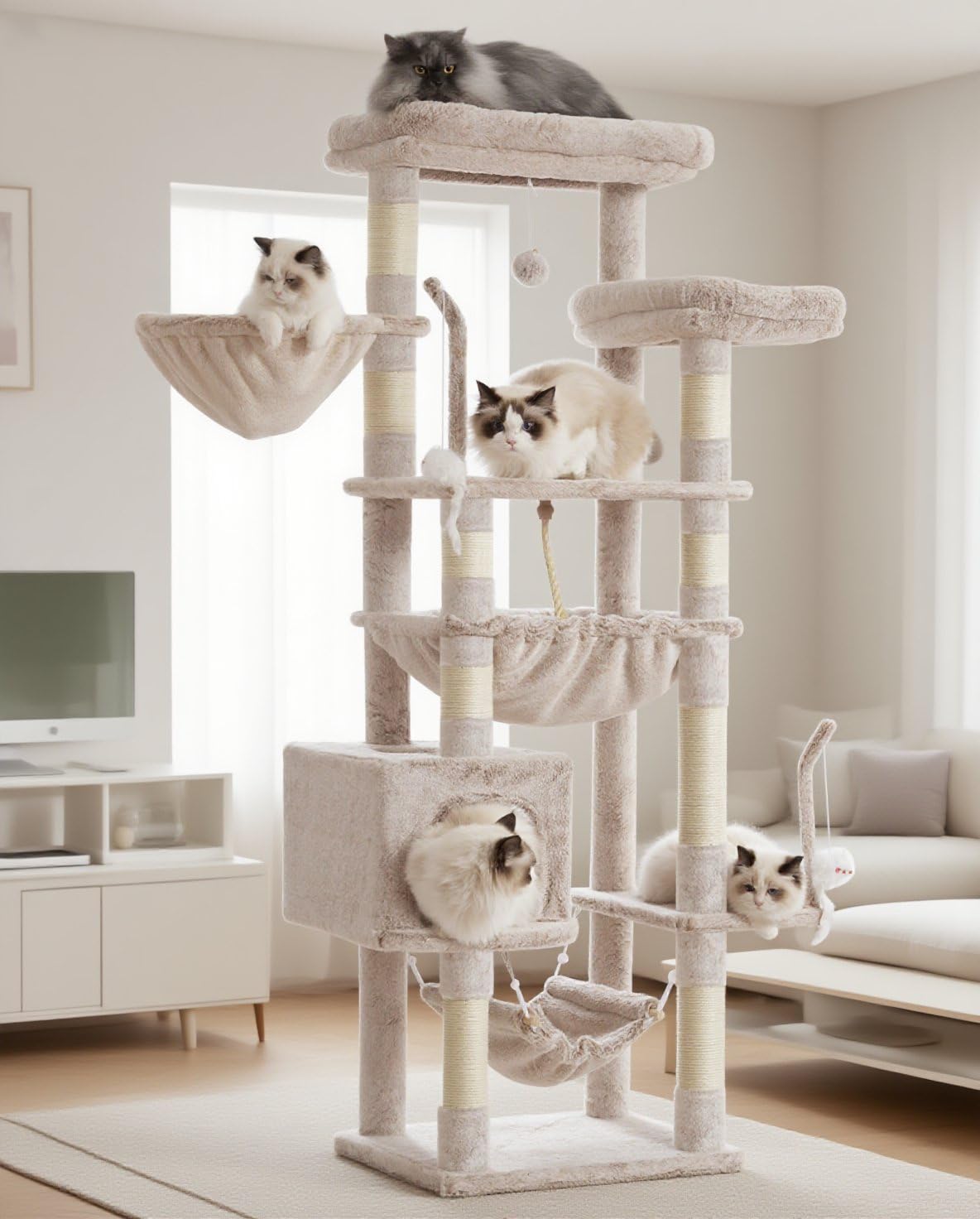 Gitelsnour cat tree top perches for elevated lounging and observation