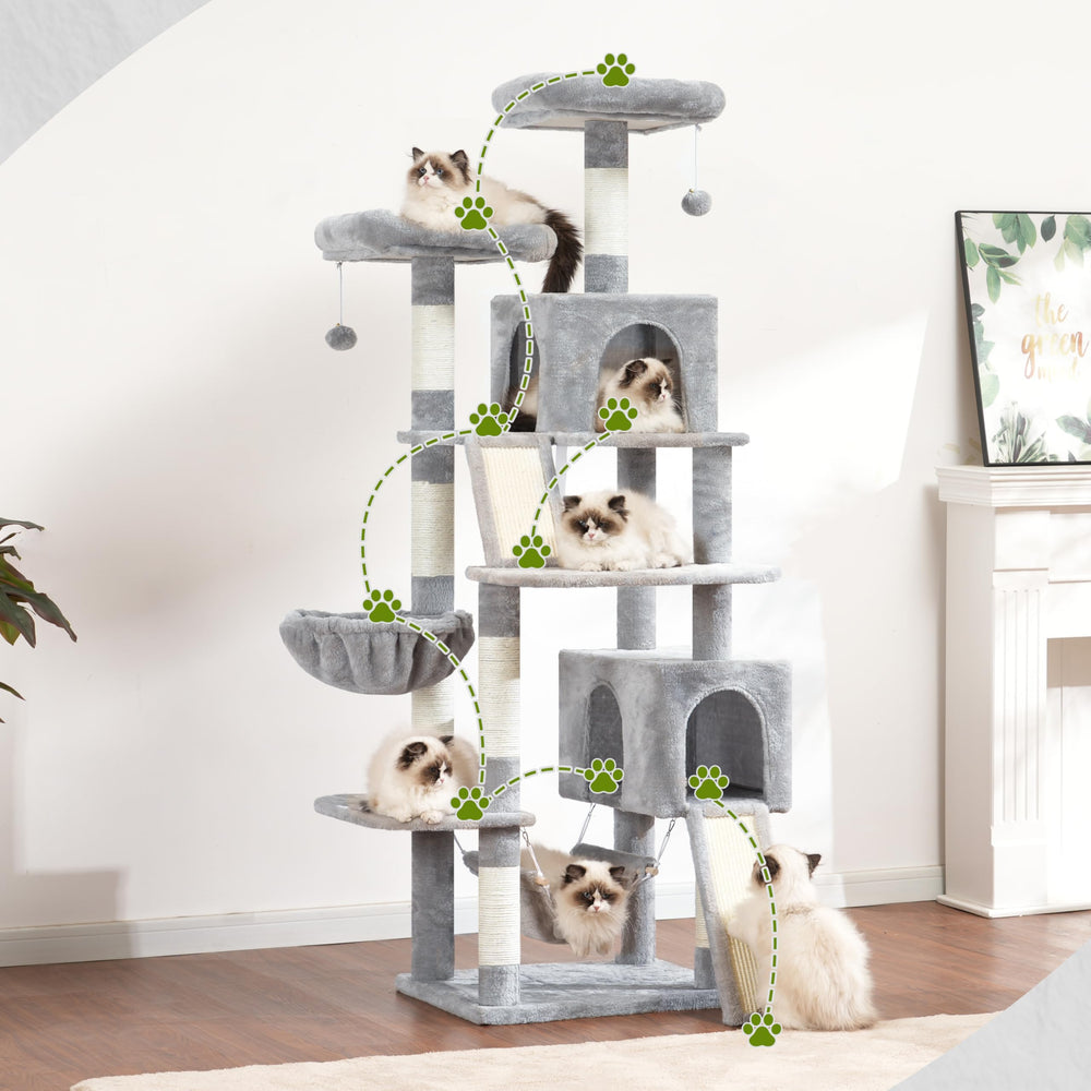 Gitelsnour top platforms give cats a high vantage point to observe surroundings.