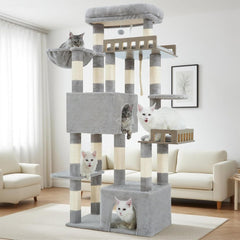 Gitelsnour Maine Coon Cat Tree base provides a stable foundation for large cats.