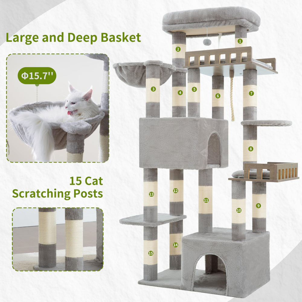 Gitelsnour Maine Coon Cat Tree condos offer roomy retreats.