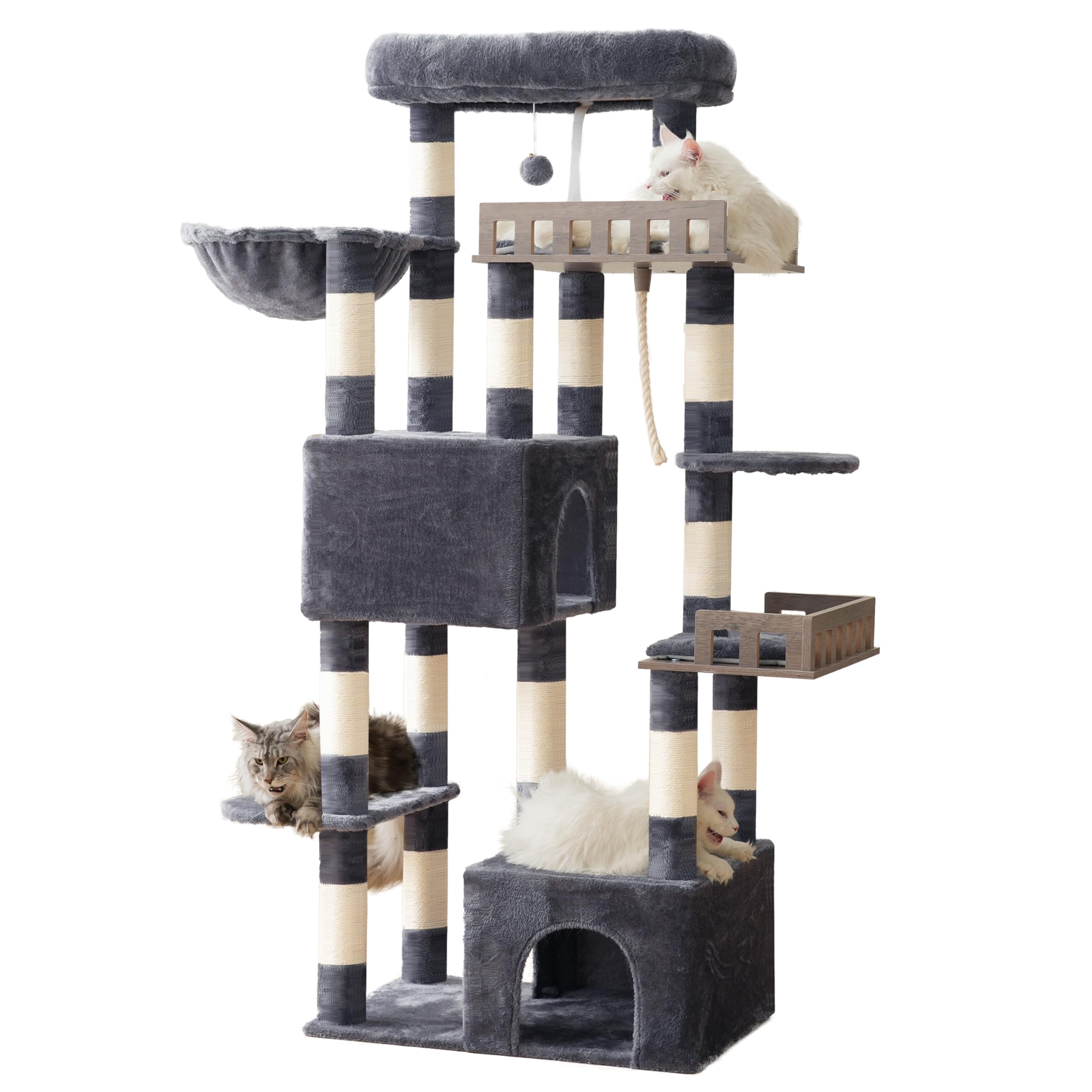 Gitelsnour Maine Coon cat tree top perch provides extra lounging space with padding.