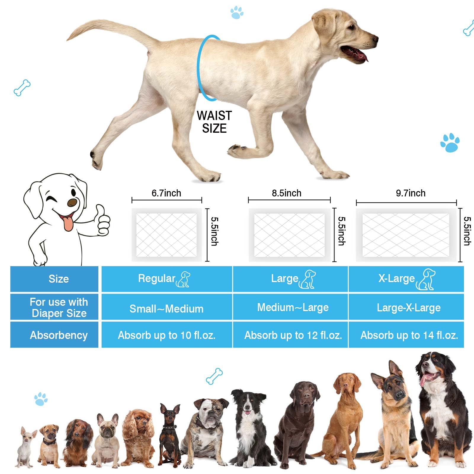 GIUACL liners help during untrained puppies, heat cycles, or incontinence scenarios.