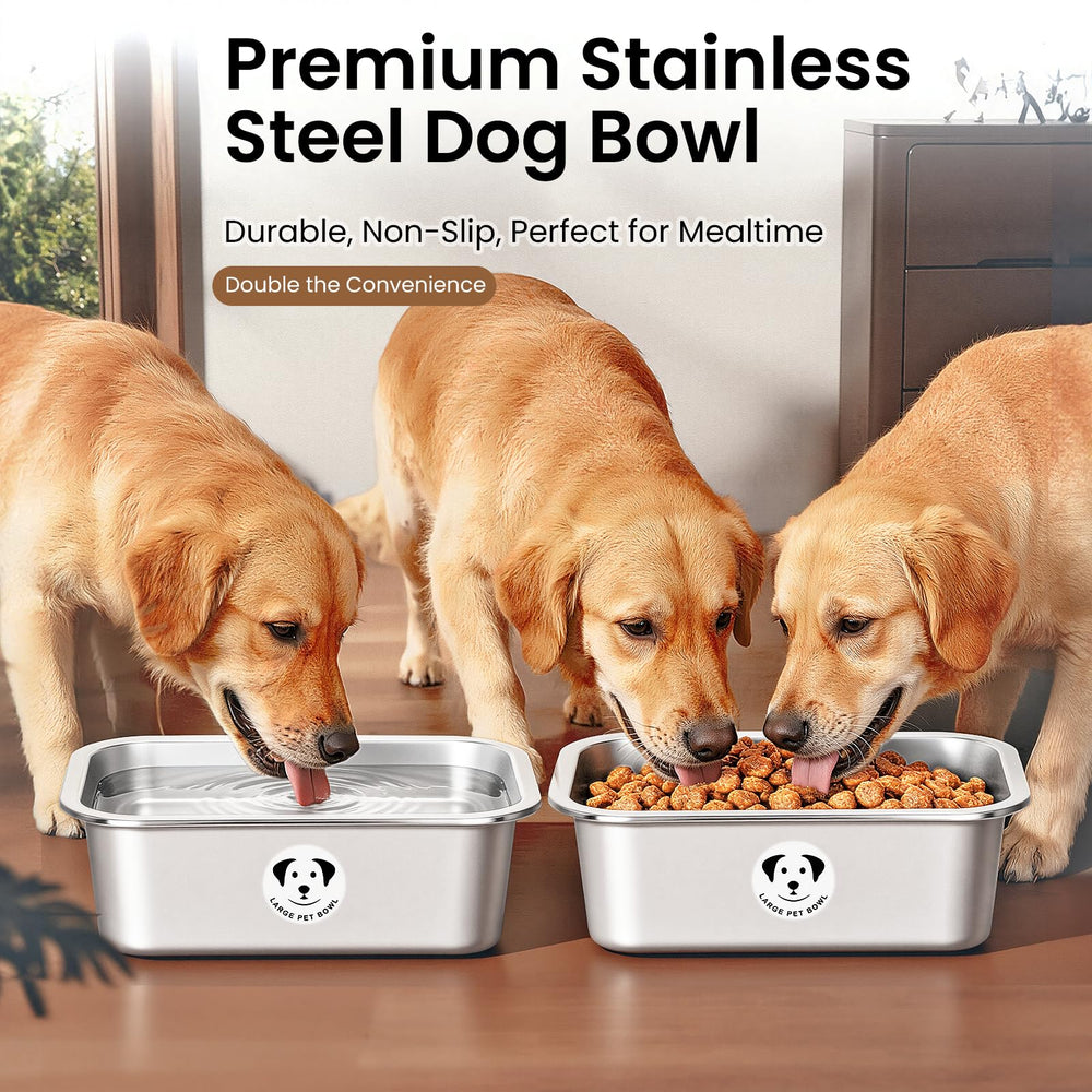 GIXSEGIE dishwasher-safe design for easy cleaning and maintenance.