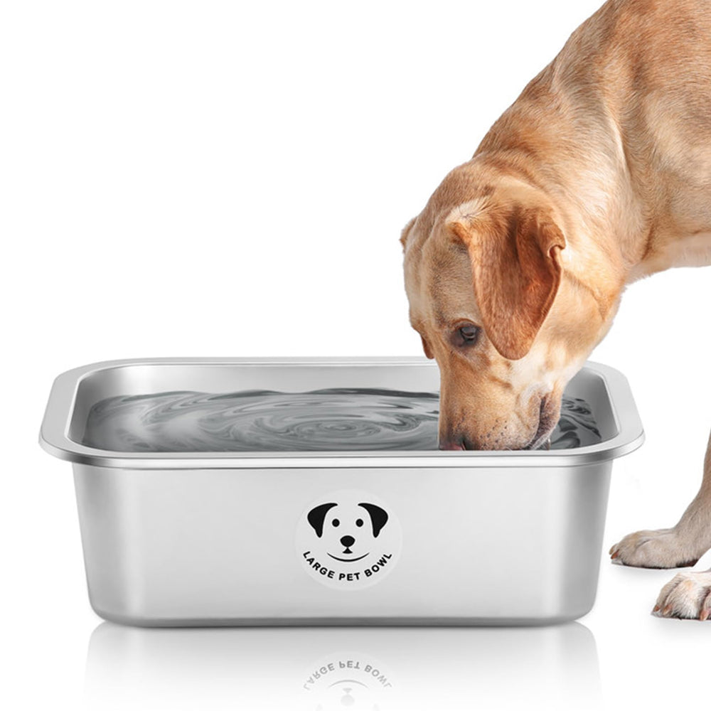 GIXSEGIE XL stainless steel dog bowl with a wide opening for easy feeding.