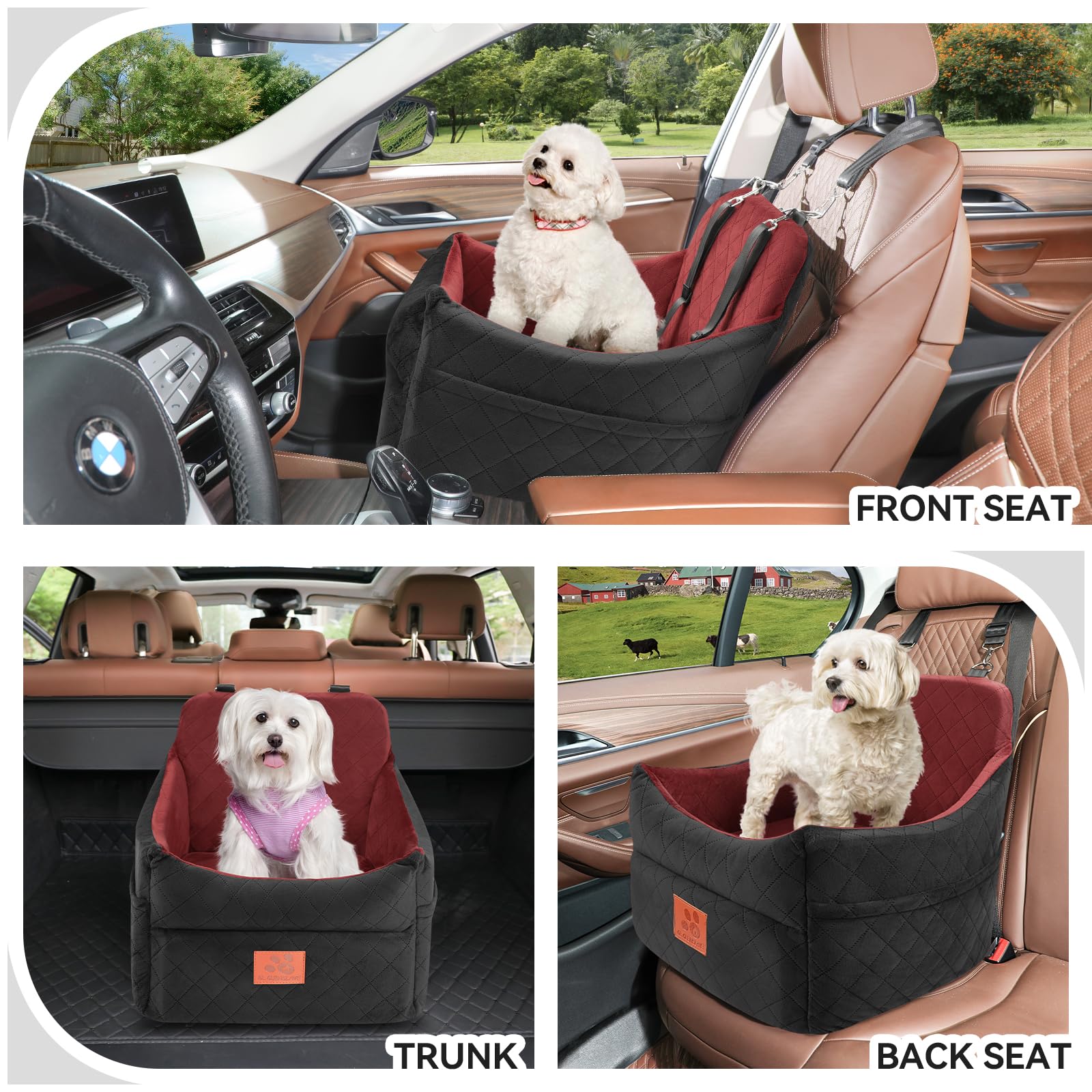 GL GLENSLAVE safety belts in use keeping pets secure during drives.