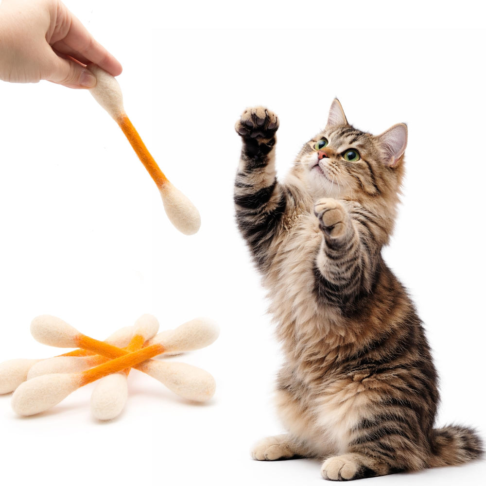 Glaciart One interactive cat toy for engaging play sessions.
