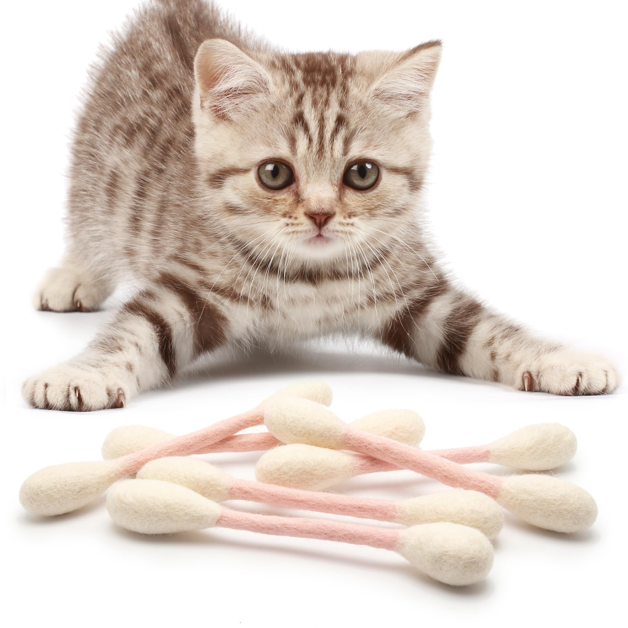 Glaciart One gift pack of catnip toys ideal for gifting.