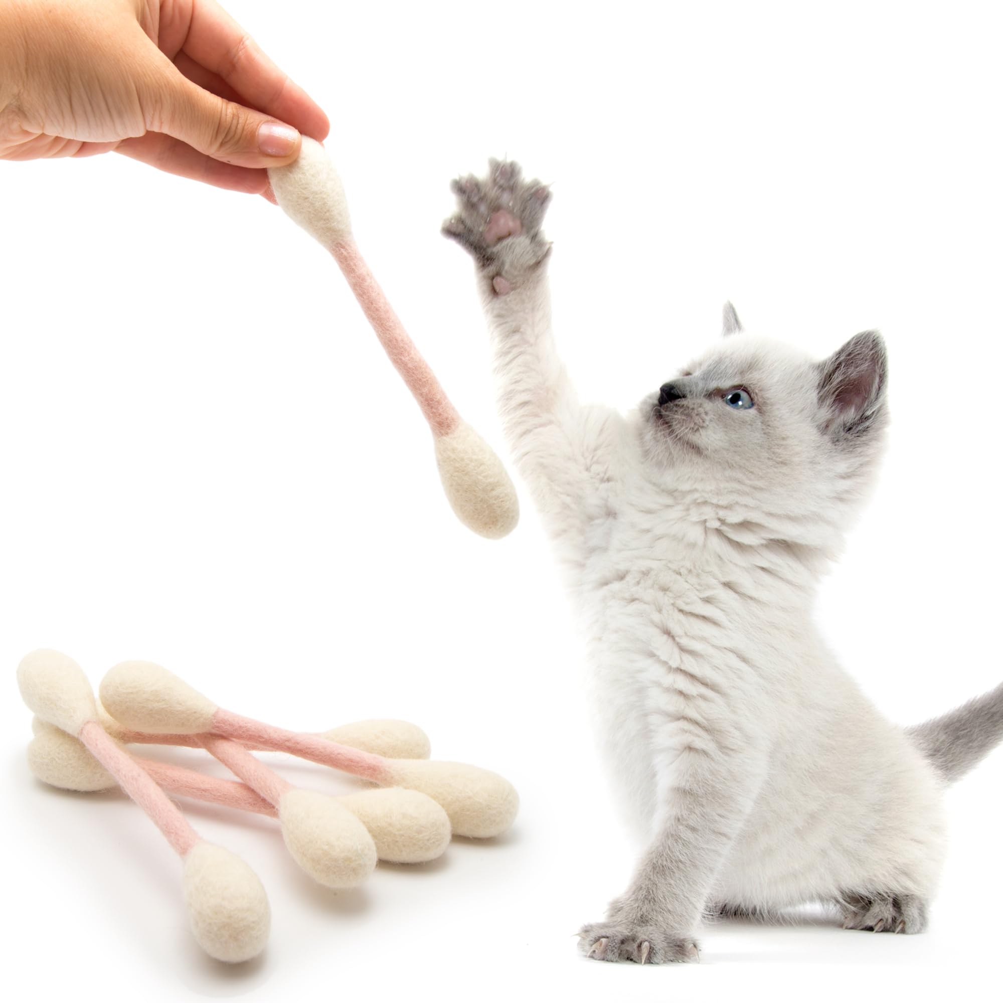 Glaciart One swabs cat toys in interactive play with a curious cat.