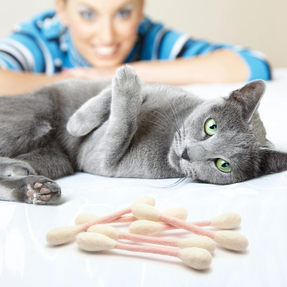 Glaciart One wool texture catnip toys highlighting natural material.