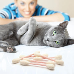 Glaciart One wool texture catnip toys highlighting natural material.