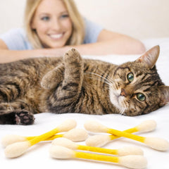 Glaciart One catnip toy designed for use during stressful moments