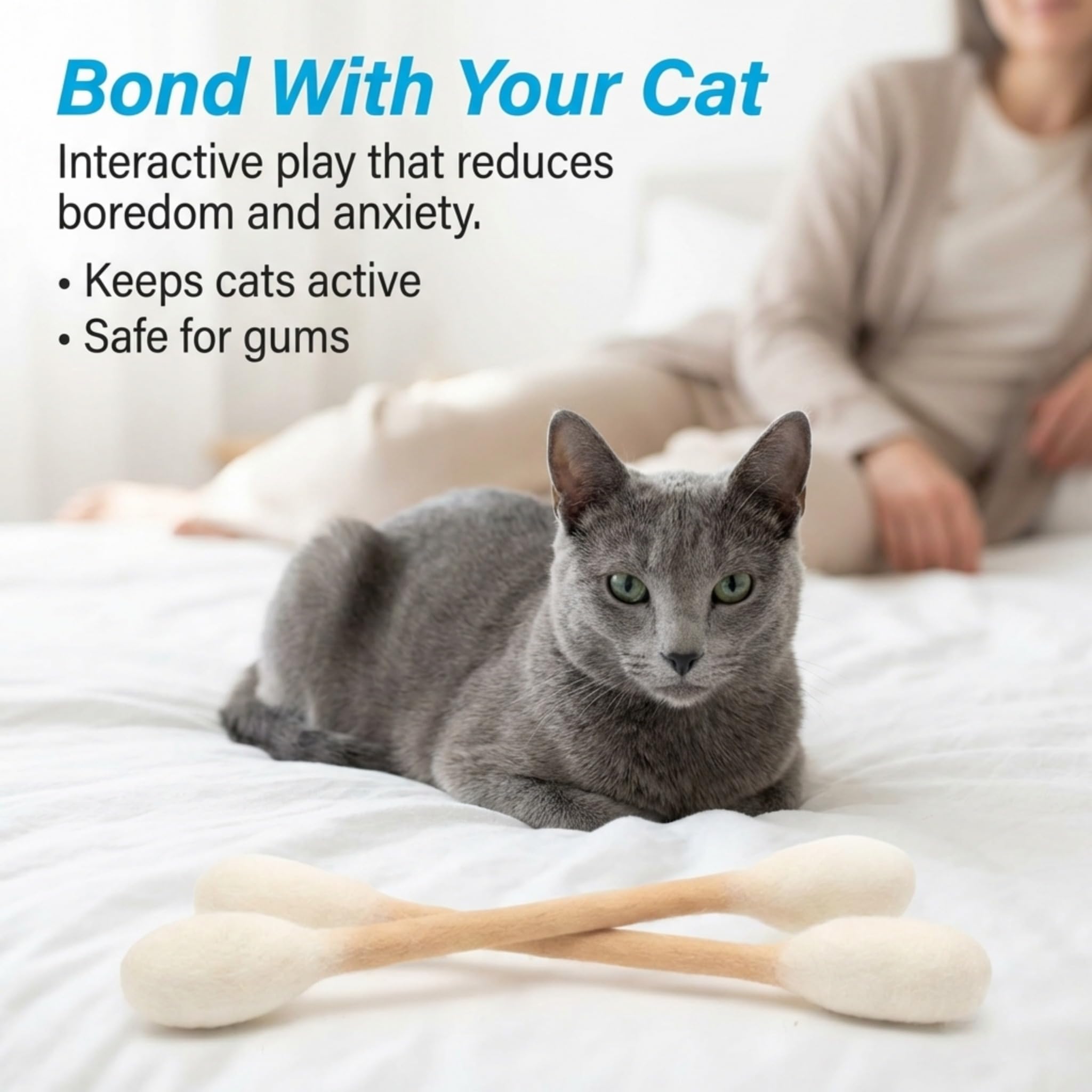Glaciart One catnip filled set demonstrating indoor exercise and curiosity