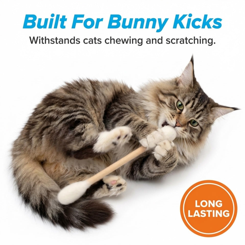 Glaciart One 2 pack catnip toys ideal for sharing playtime with kittens