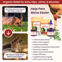 Glacier Peak Holistics Inflapotion mixed with meals for gentle joint support.
