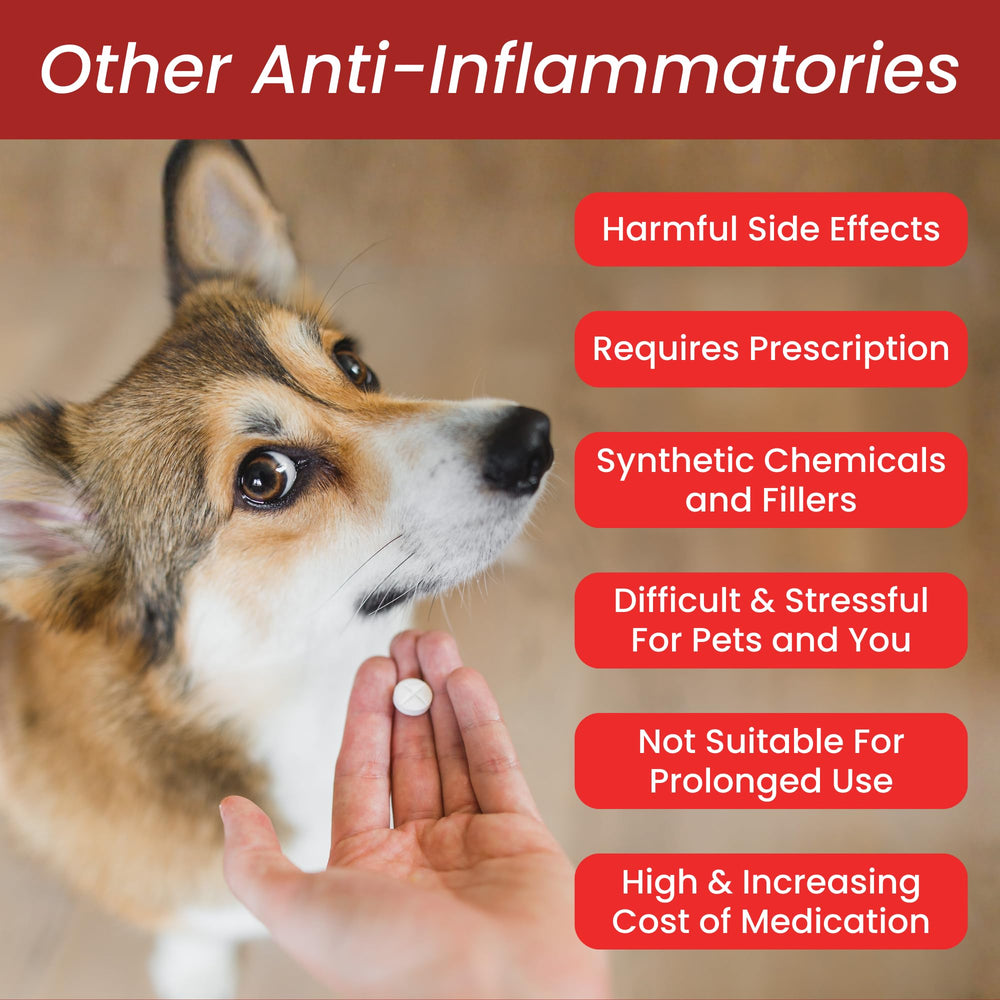 Glacier Peak Holistics Inflapotion ingredient blend image showing natural herbs.