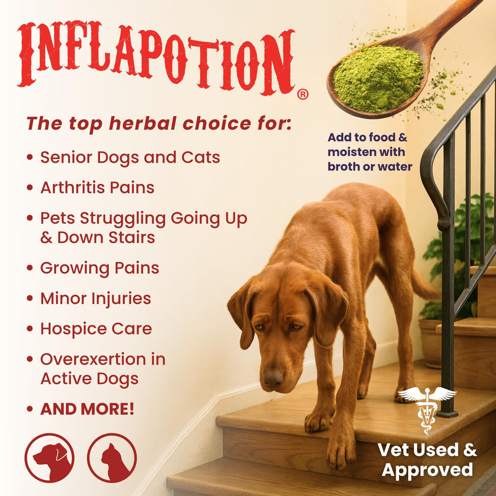 Glacier Peak Holistics Inflapotion poured into pet food to support mobility.